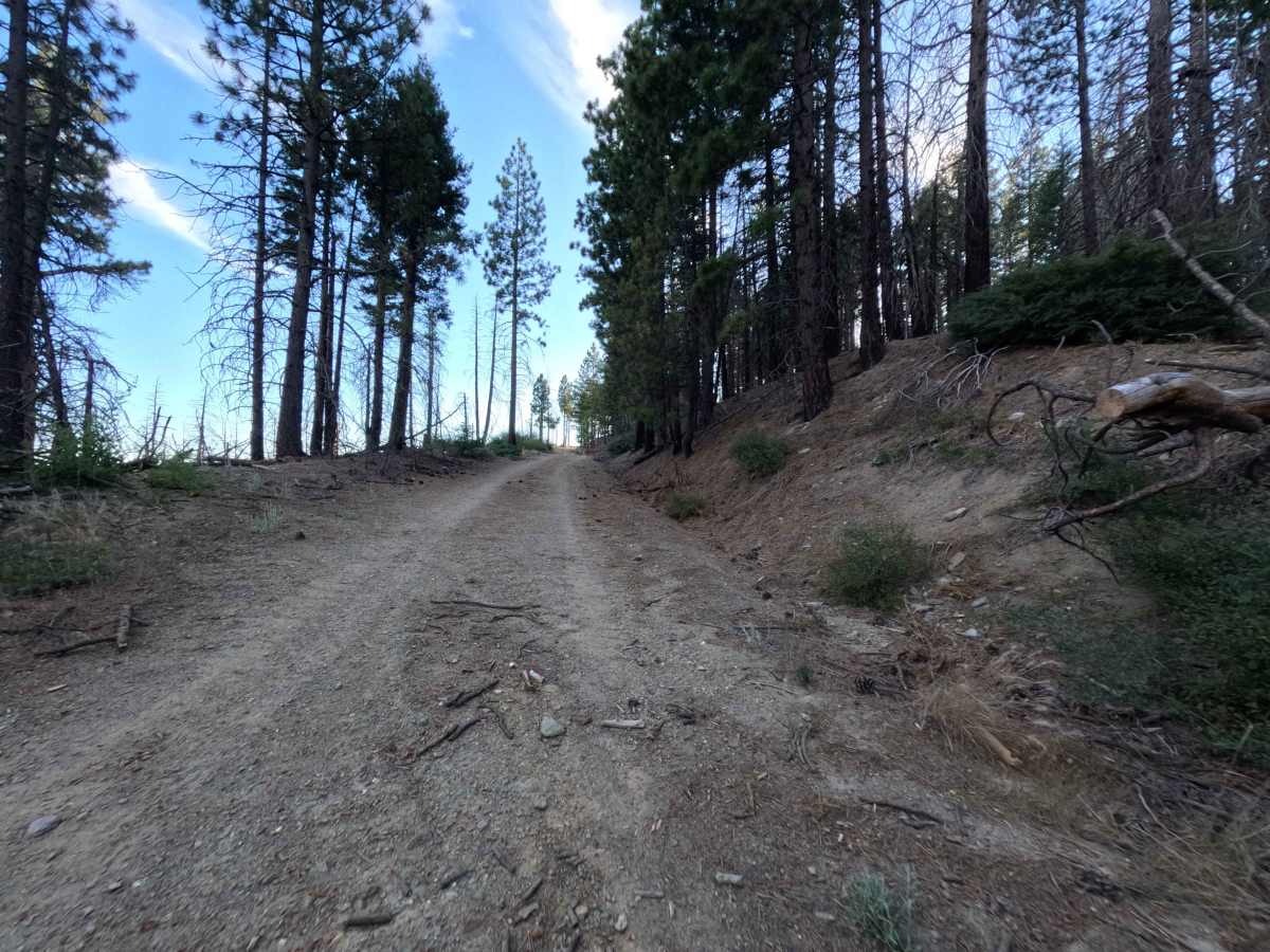 Trough Ridge Spur A - FS 24N05A photo 6