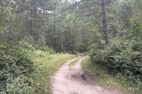 Forest Road 0404