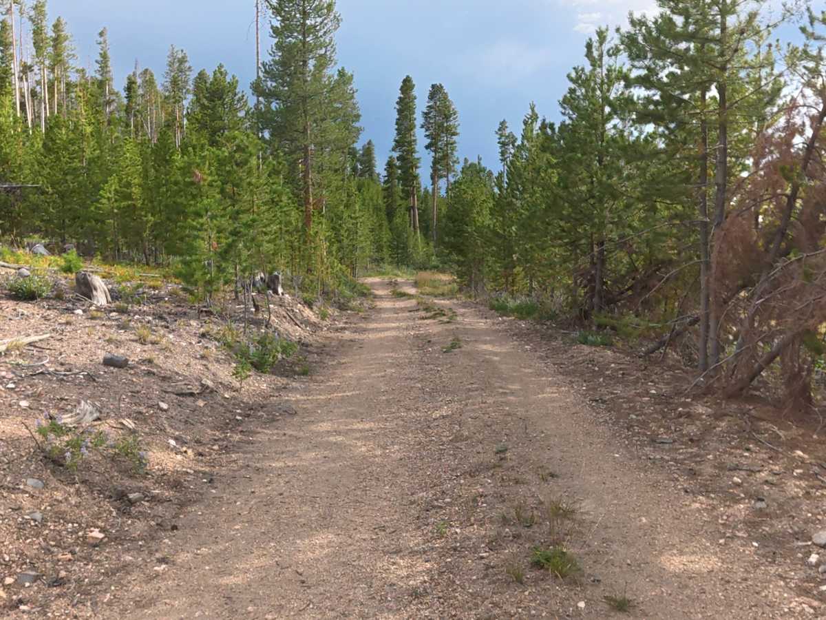 Flat Draw Road photo 4