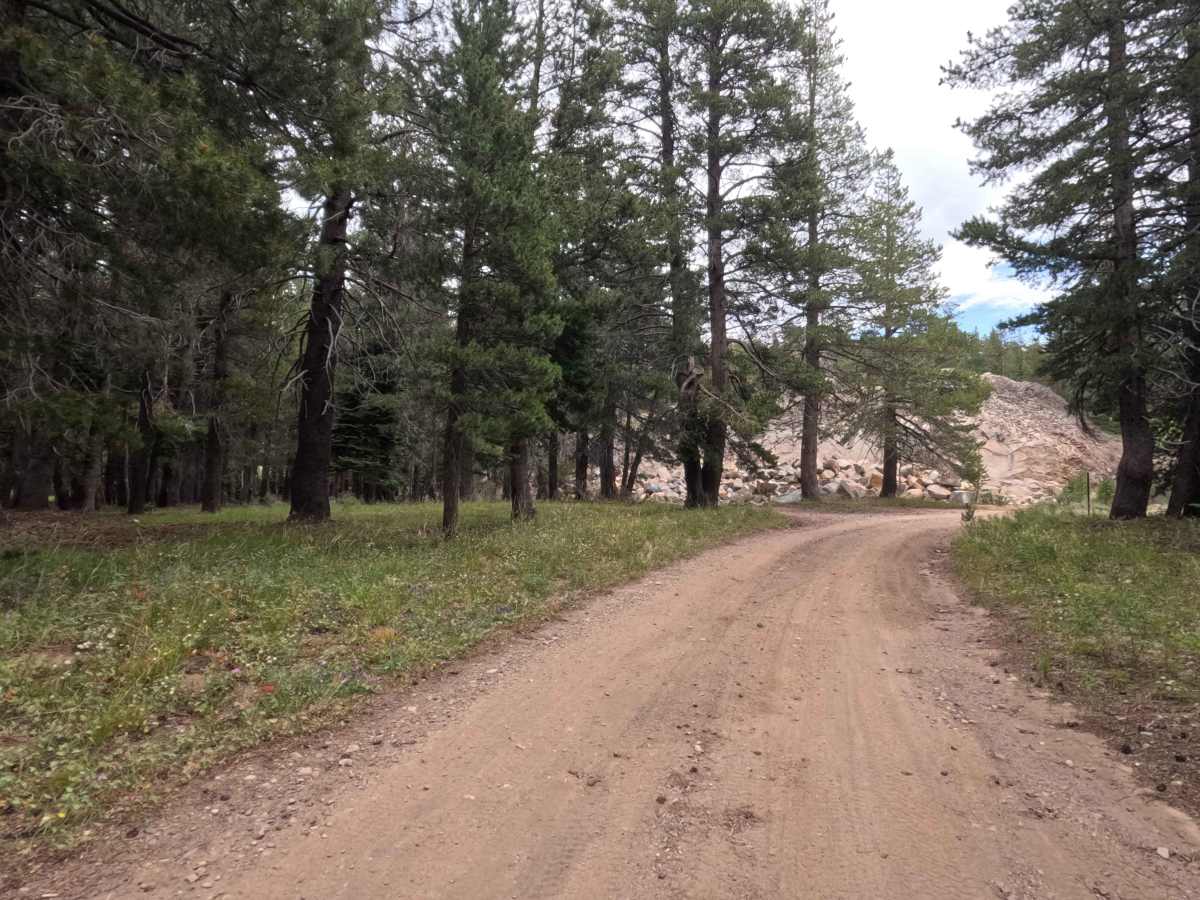 Upper Charity Rd - FS 31068 trail photo