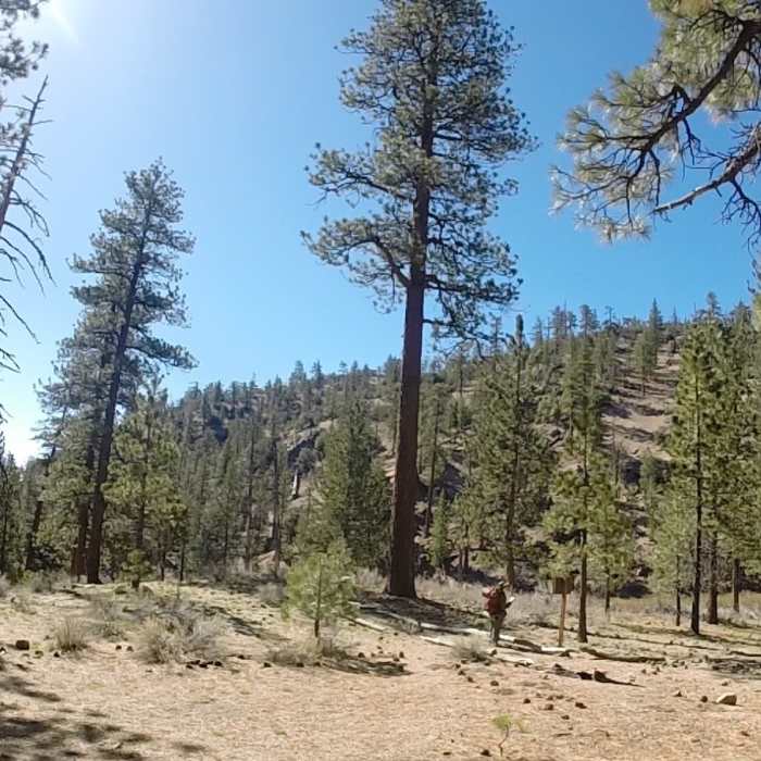 Near North Fork Lockwood Trail