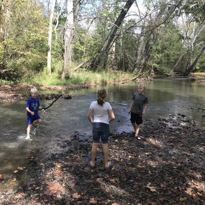 Near Prairie Oaks Loop