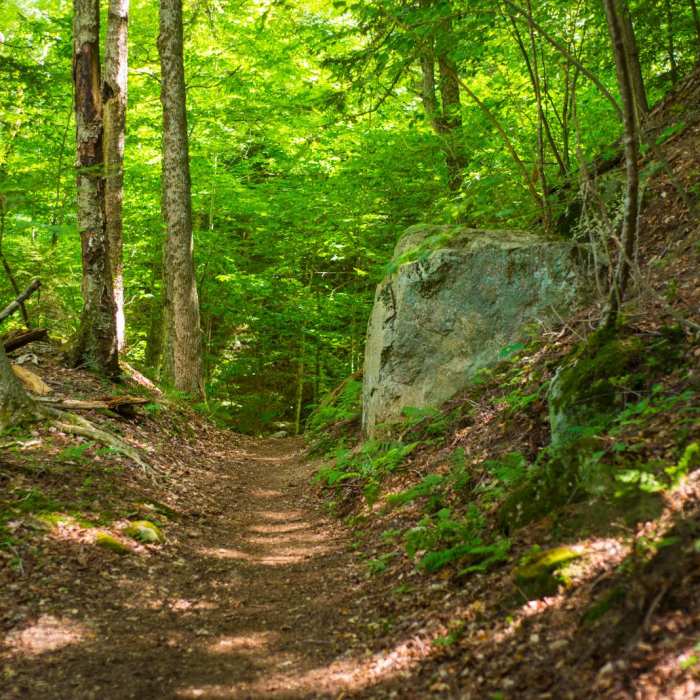 Near Noonmark Mountain