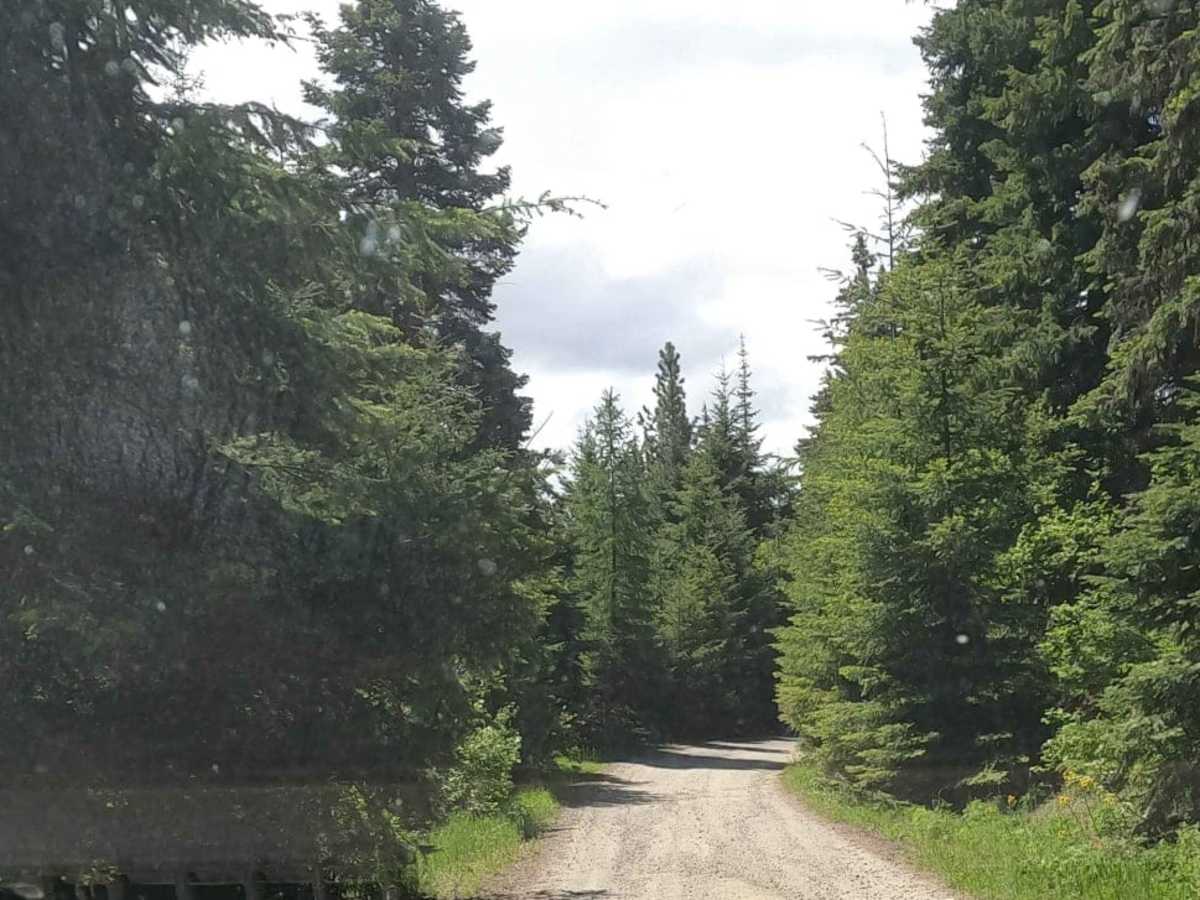 Lankin Loop - NF3350-119 photo 2