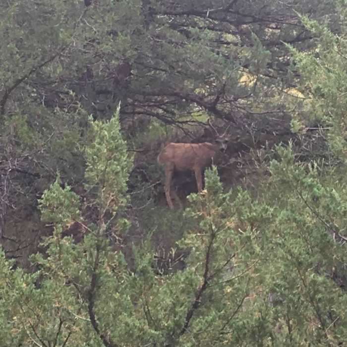 Near Butterfly Canyon