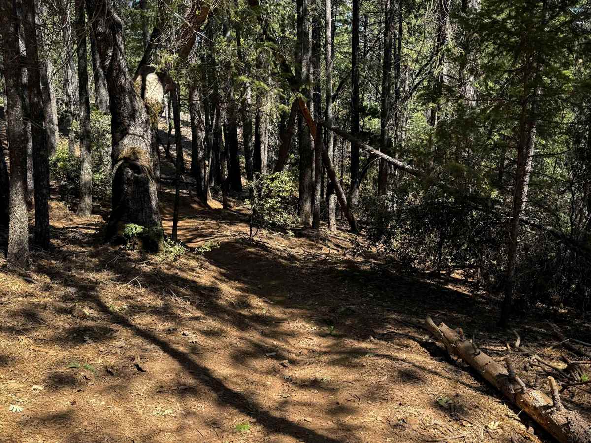 Trail 5-2 (11E29)  photo 2