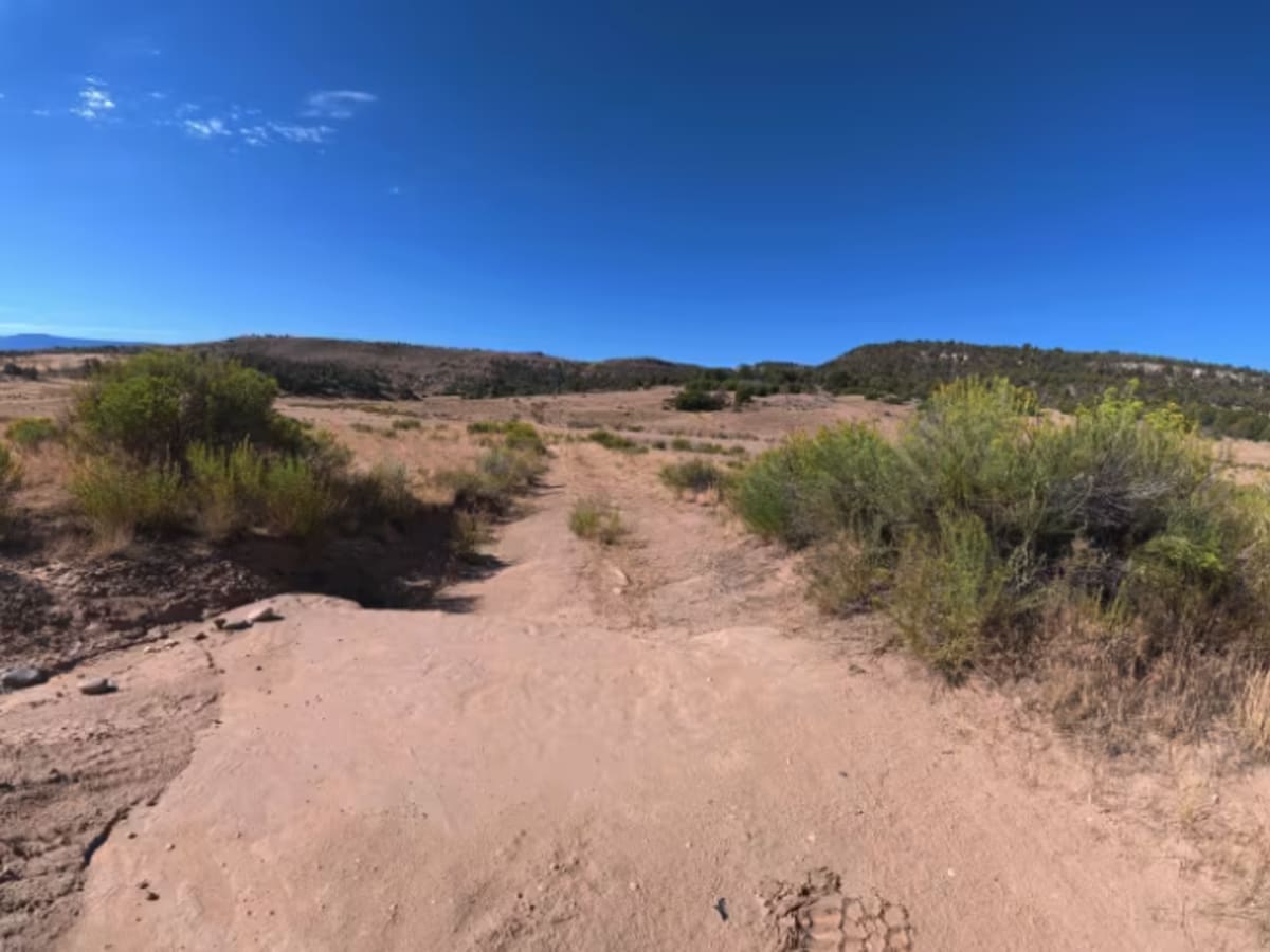 BLM 287A trail photo
