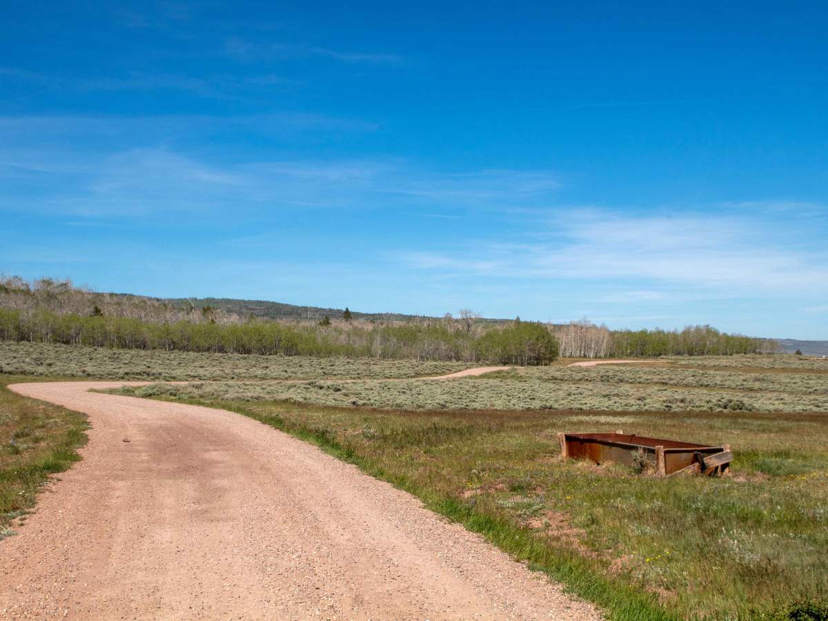 Cottonwood - FS 40013 photo 5