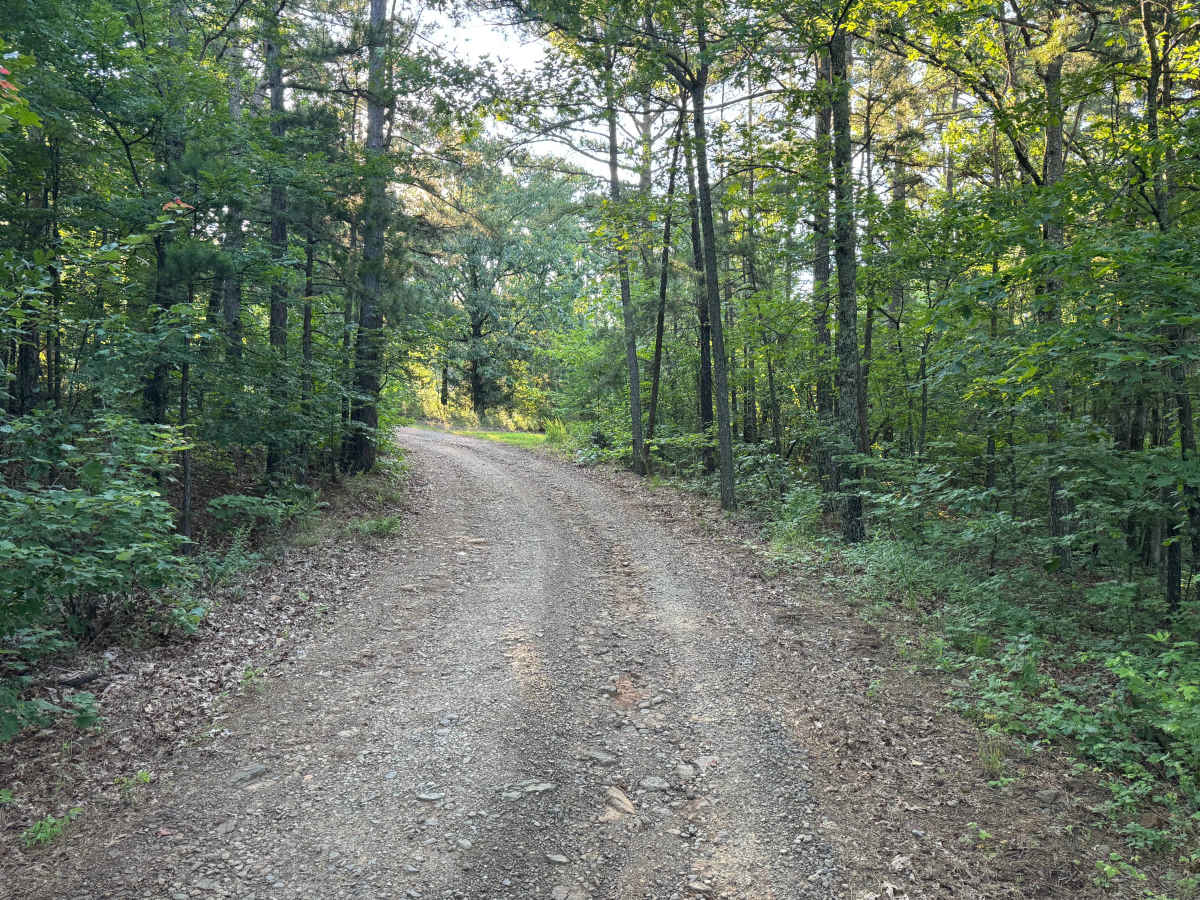 Cazort Tower trail photo