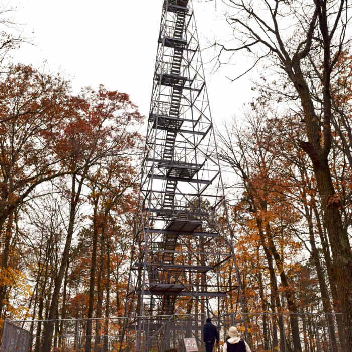 Near Aiton Heights Fire Tower Near Aiton Heights Fire Tower