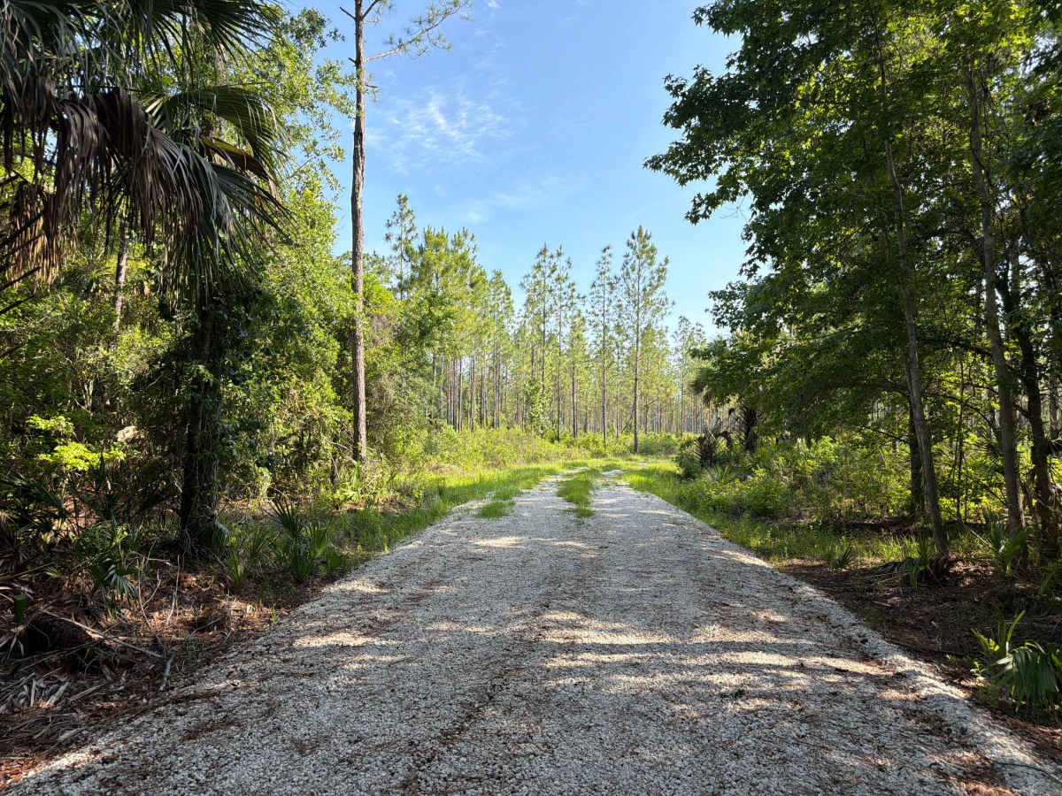 Dexter Point Road photo 4