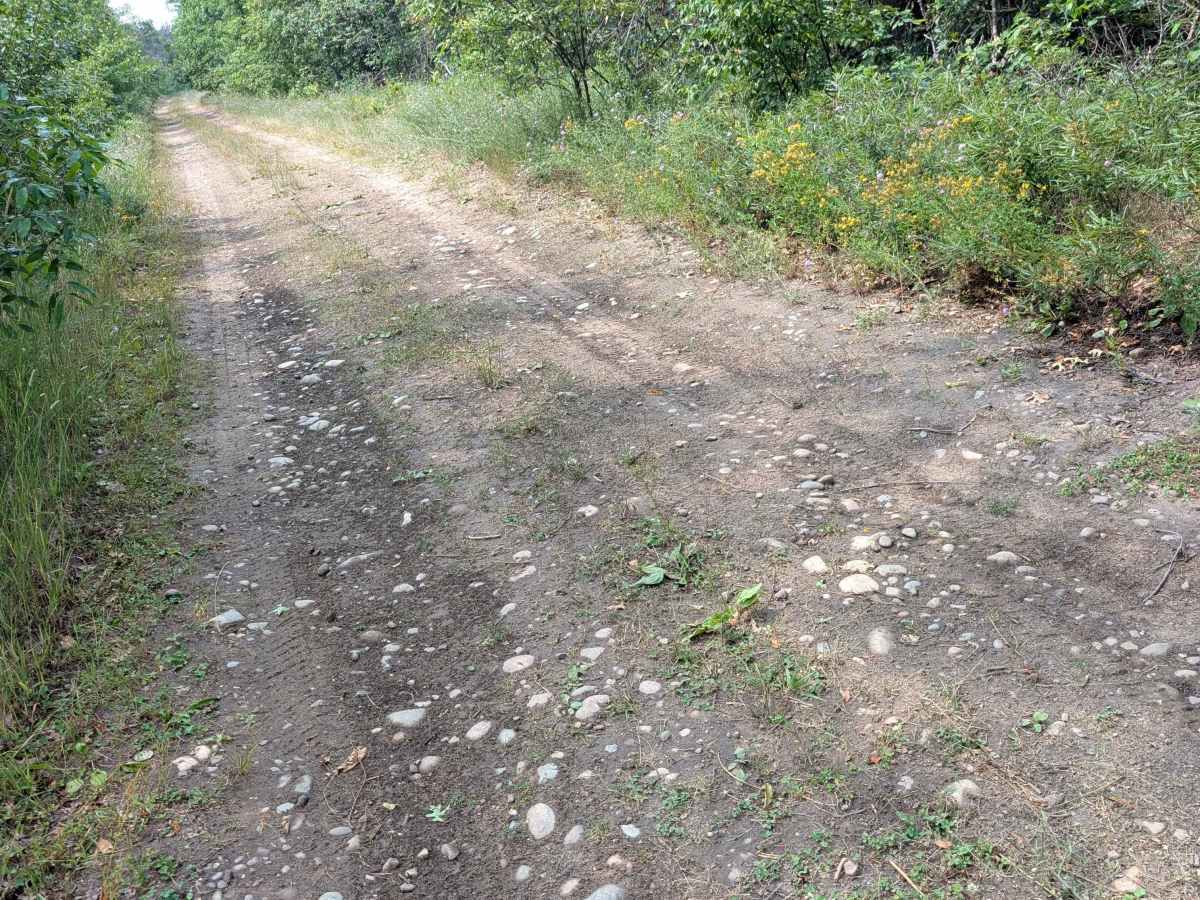 Smith Road - FS 4312  photo 3