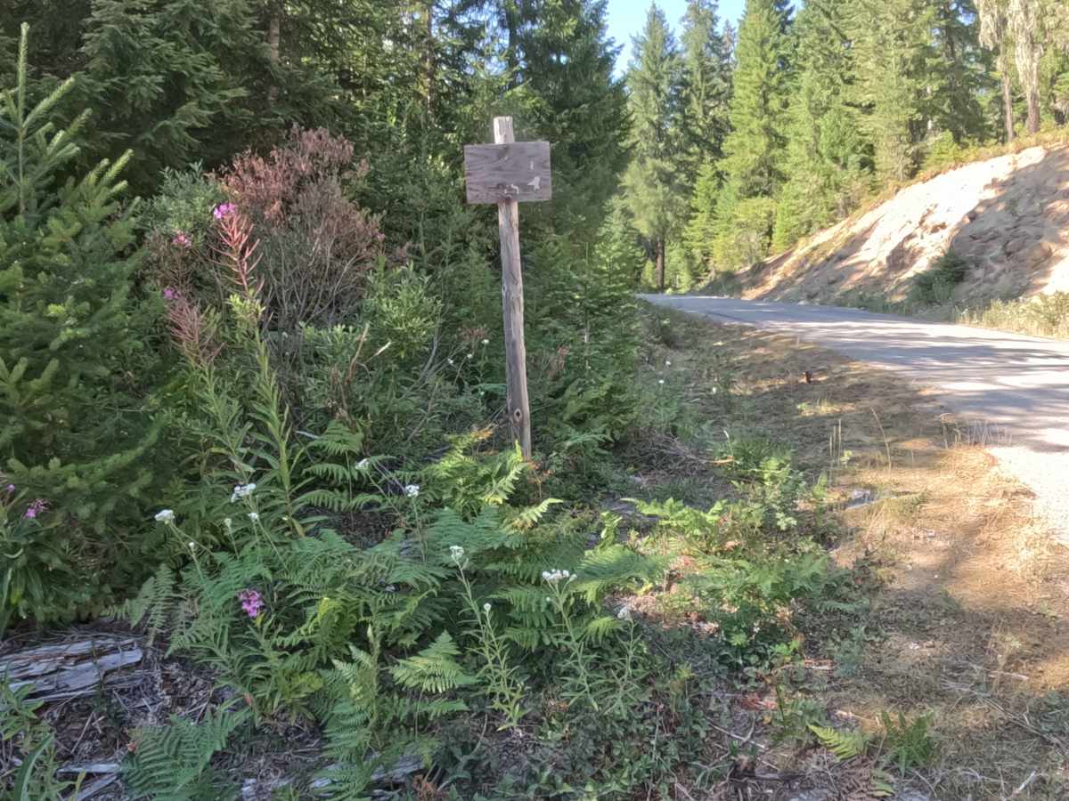 Parish Lake Road - FS 2266000 photo 4