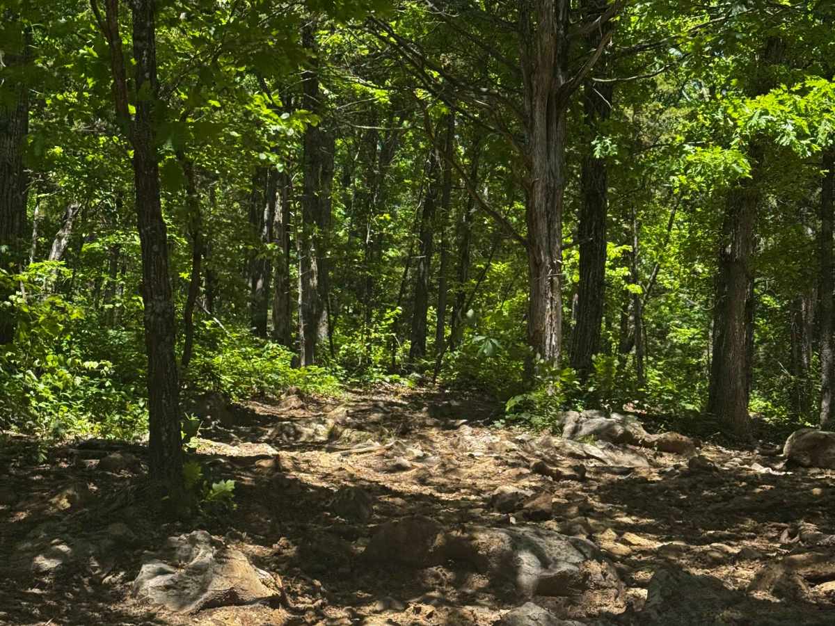 Waterfall Hill  photo 5