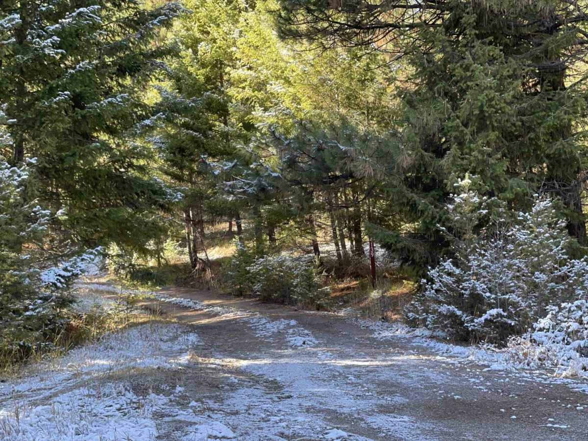 Old Coal Creek Dead End photo 6