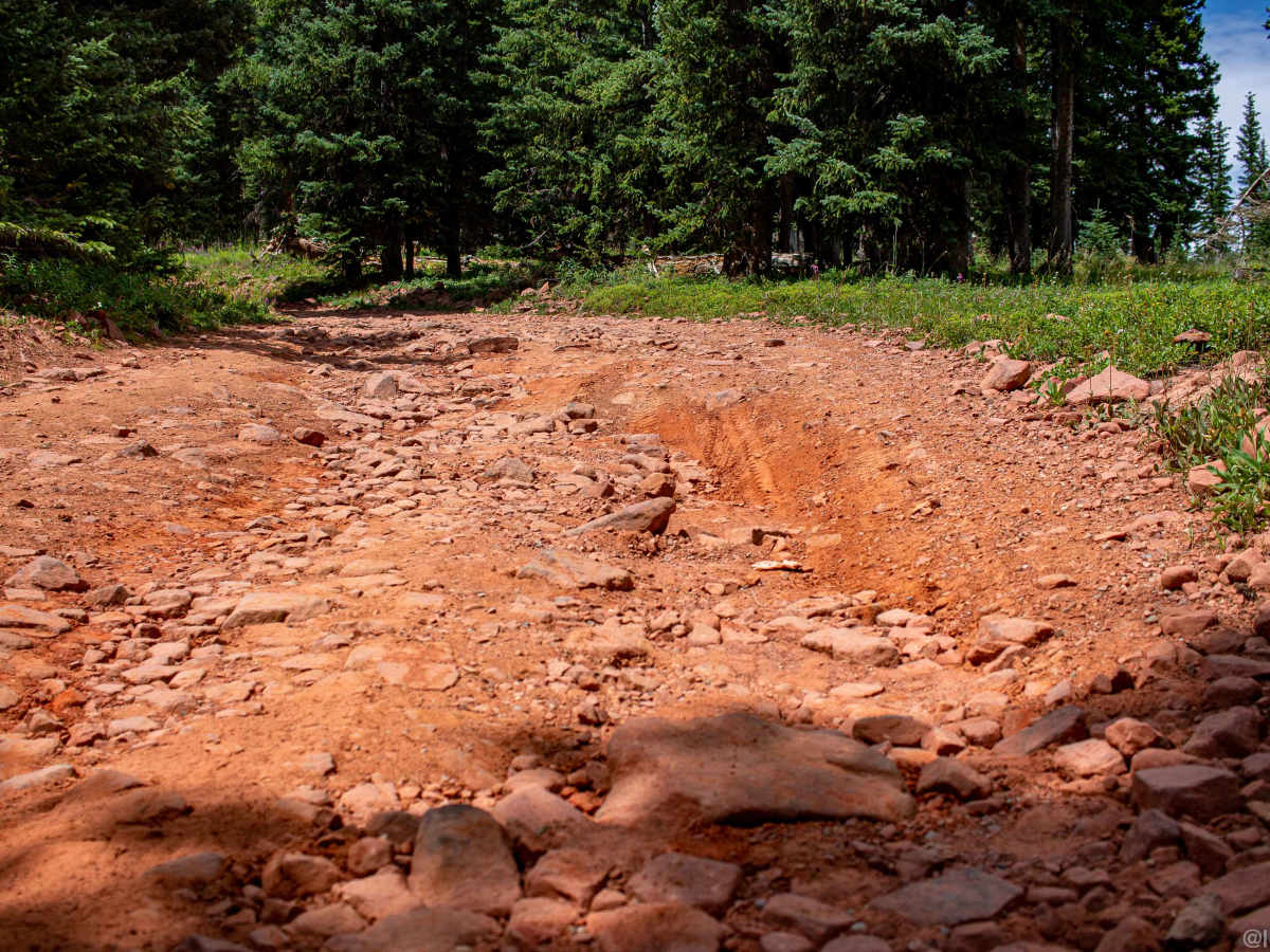 Red Table Road trail photo