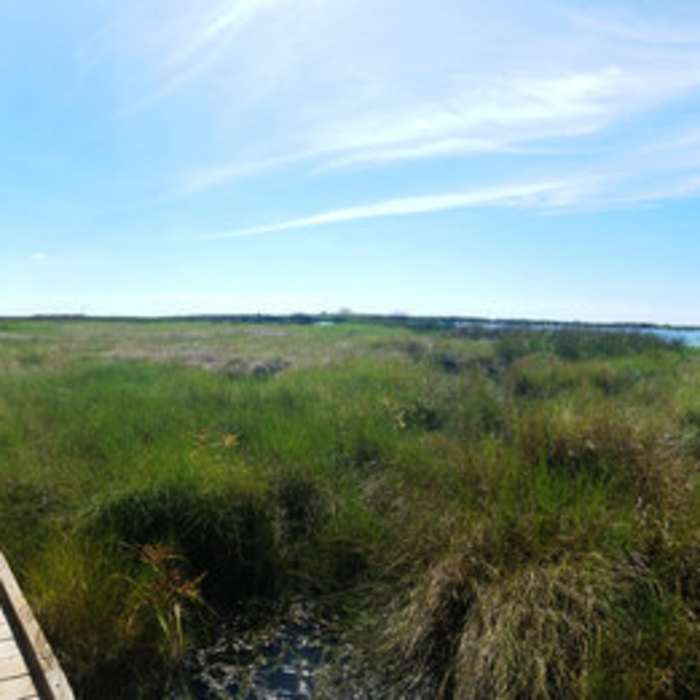 Near Fountainbleau Trail System