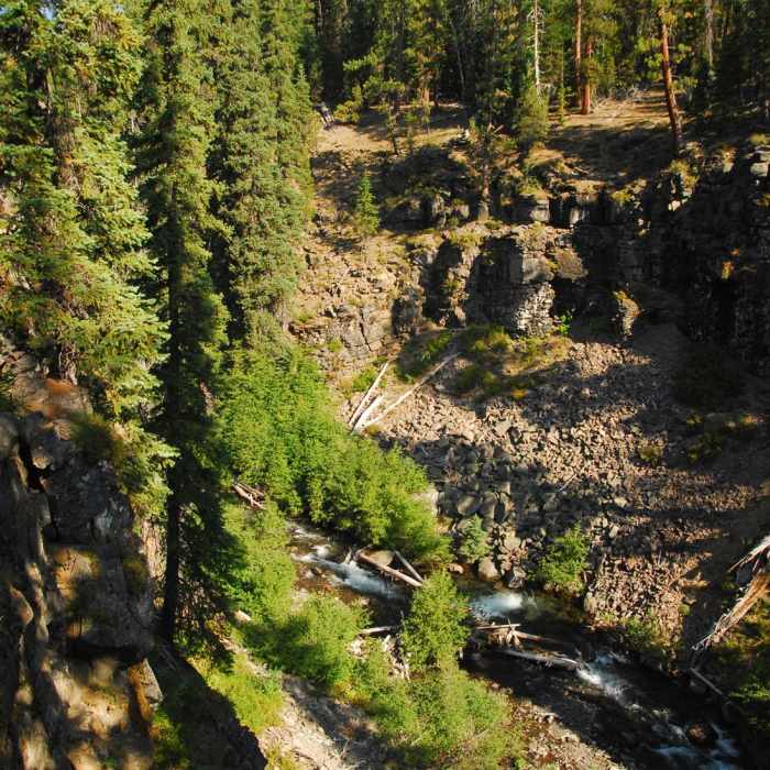 Near North Fork to Bridge Creek Loop