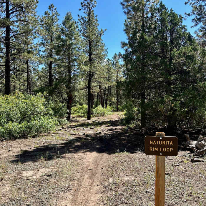 Near Naturita Rim Loop