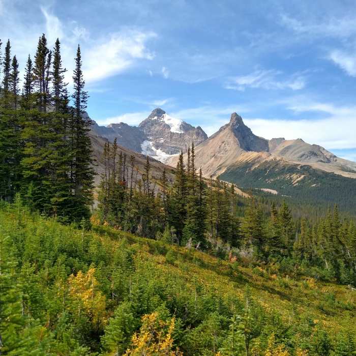 Mount Athabasca (left center) and Hilda Peak (right center) come into view as Parker Ridge Trail climbs. Near Parker Ridge Trail