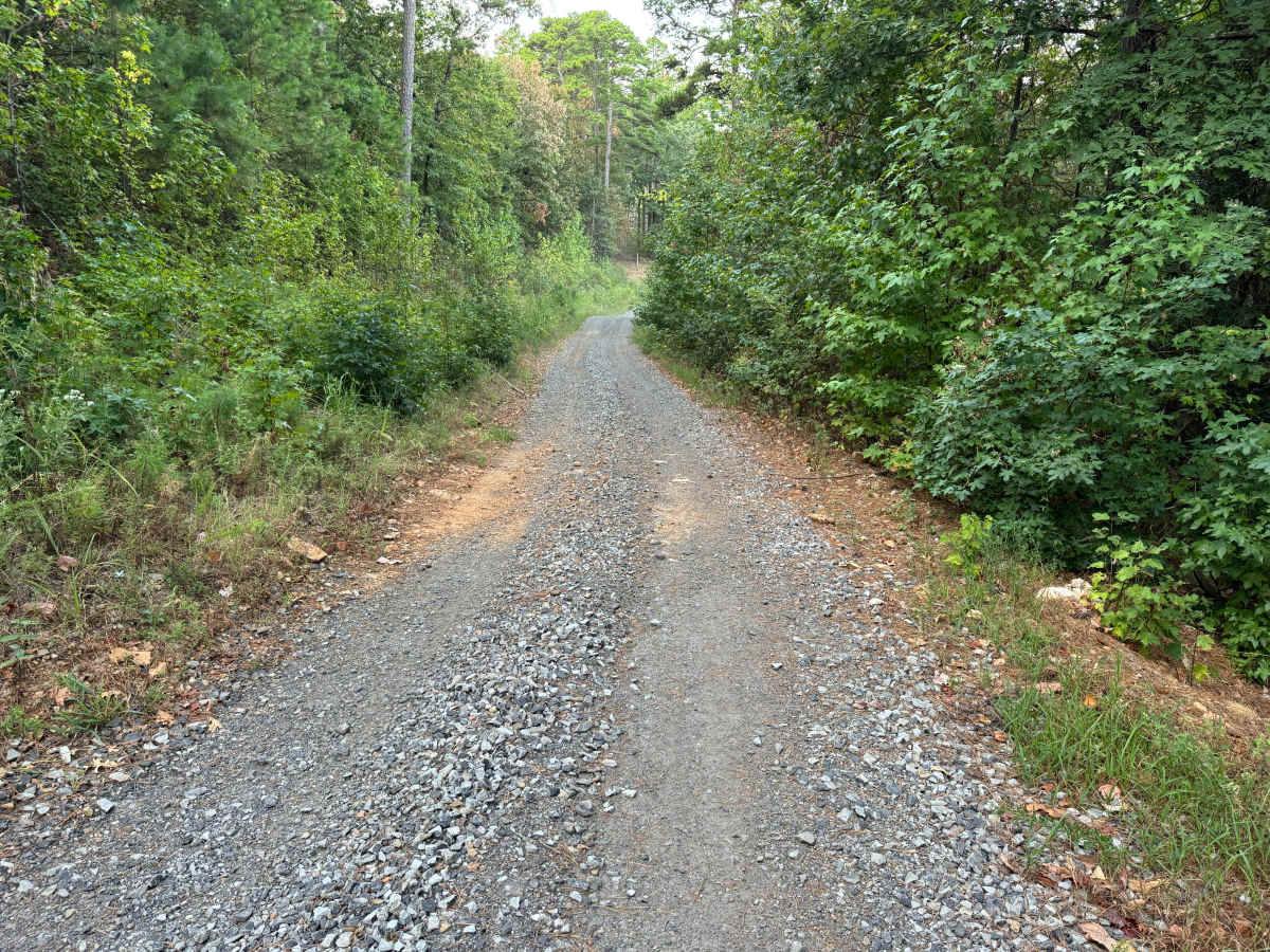 Forest Road photo 4