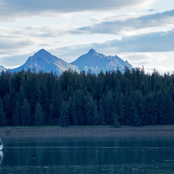 Near Forest Loop Trail