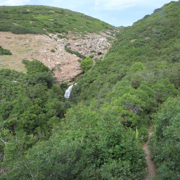 Near Davis Creek Falls