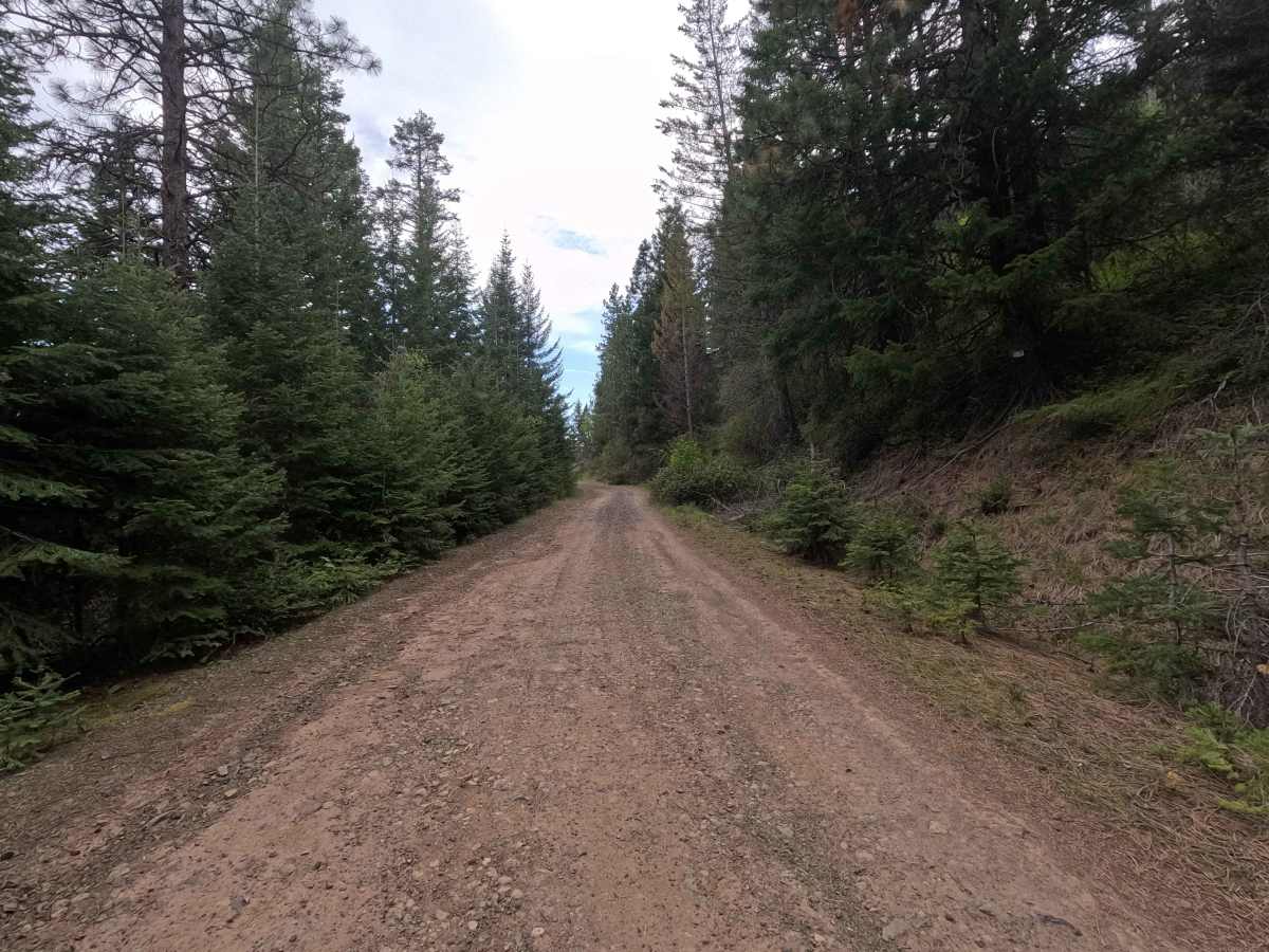 Ruckel Road - FS 32 photo 6