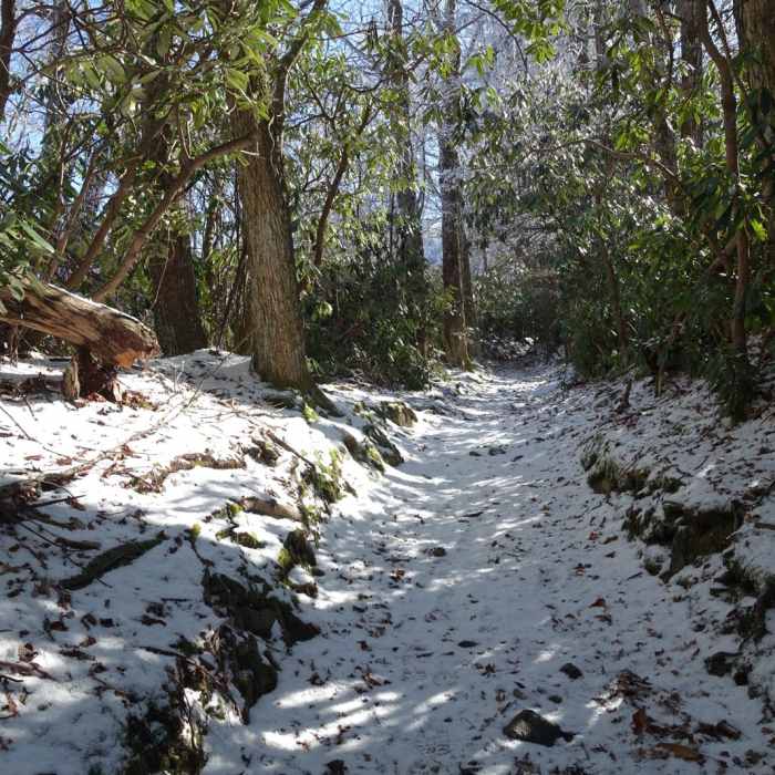 Near Spence Field Loop Near Spence Field Loop