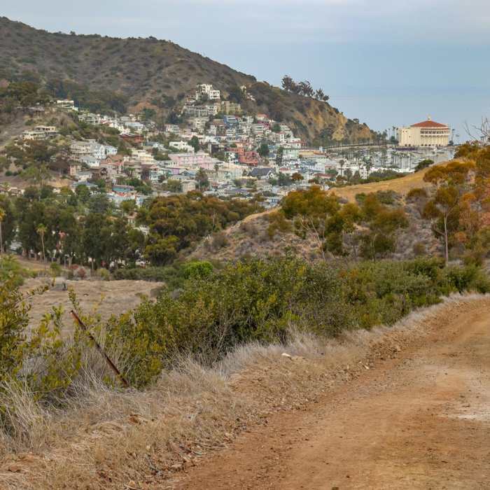 Near Hermit Gulch to Golf Course Loop