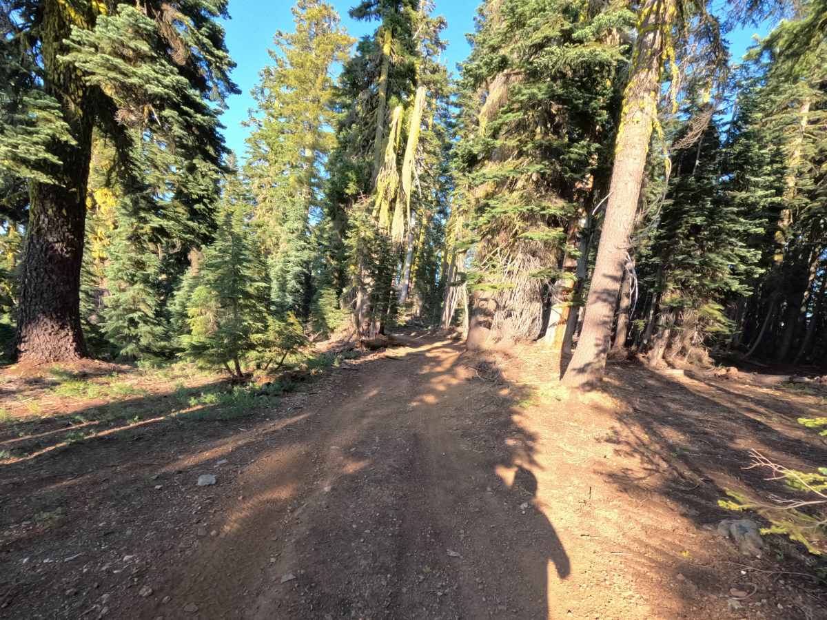 Gold Lake Shore Upper Segment - FS 12M01 photo 2