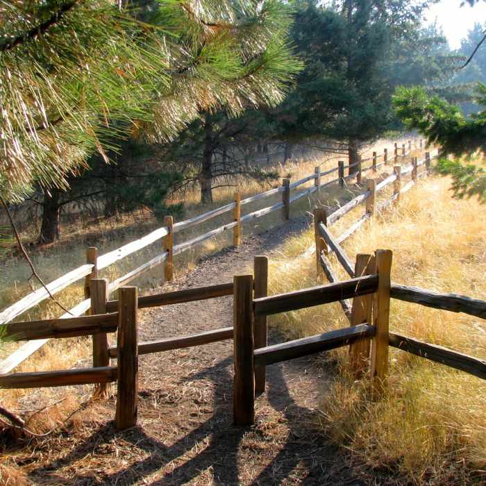 Near Mount Jumbo via the Tivoli Trail