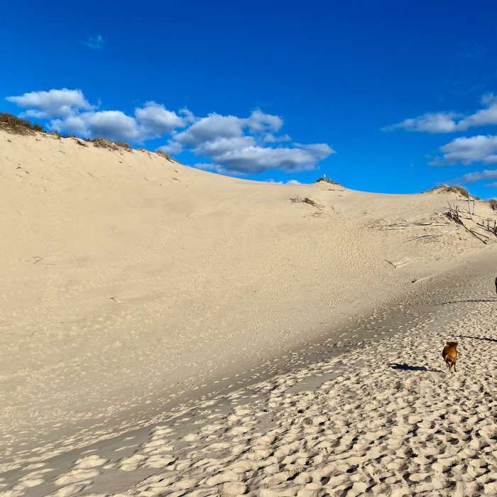 Walking through the dune blowout. Amazing views. Near Mount Randall Loop