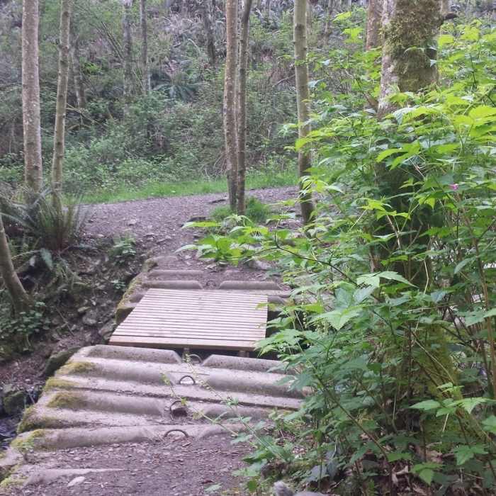 Near Japanese Gulch Loop