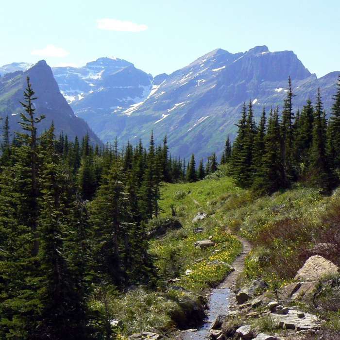 Descending to Waterton Valley. Kootenai Peaks in background. with permission from intian Adam Bilinski Near Stoney Indian Pass