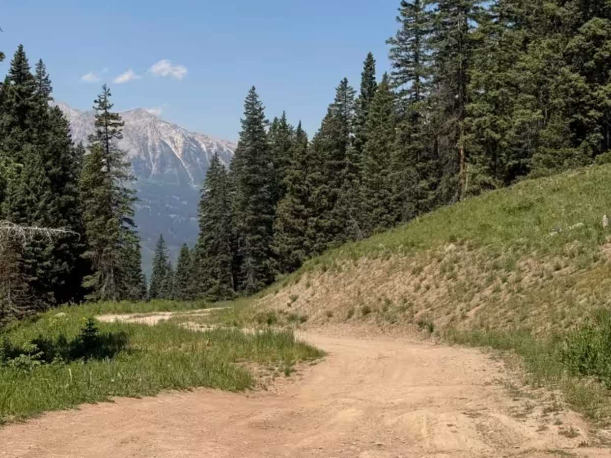 Old Kebler Road trail photo