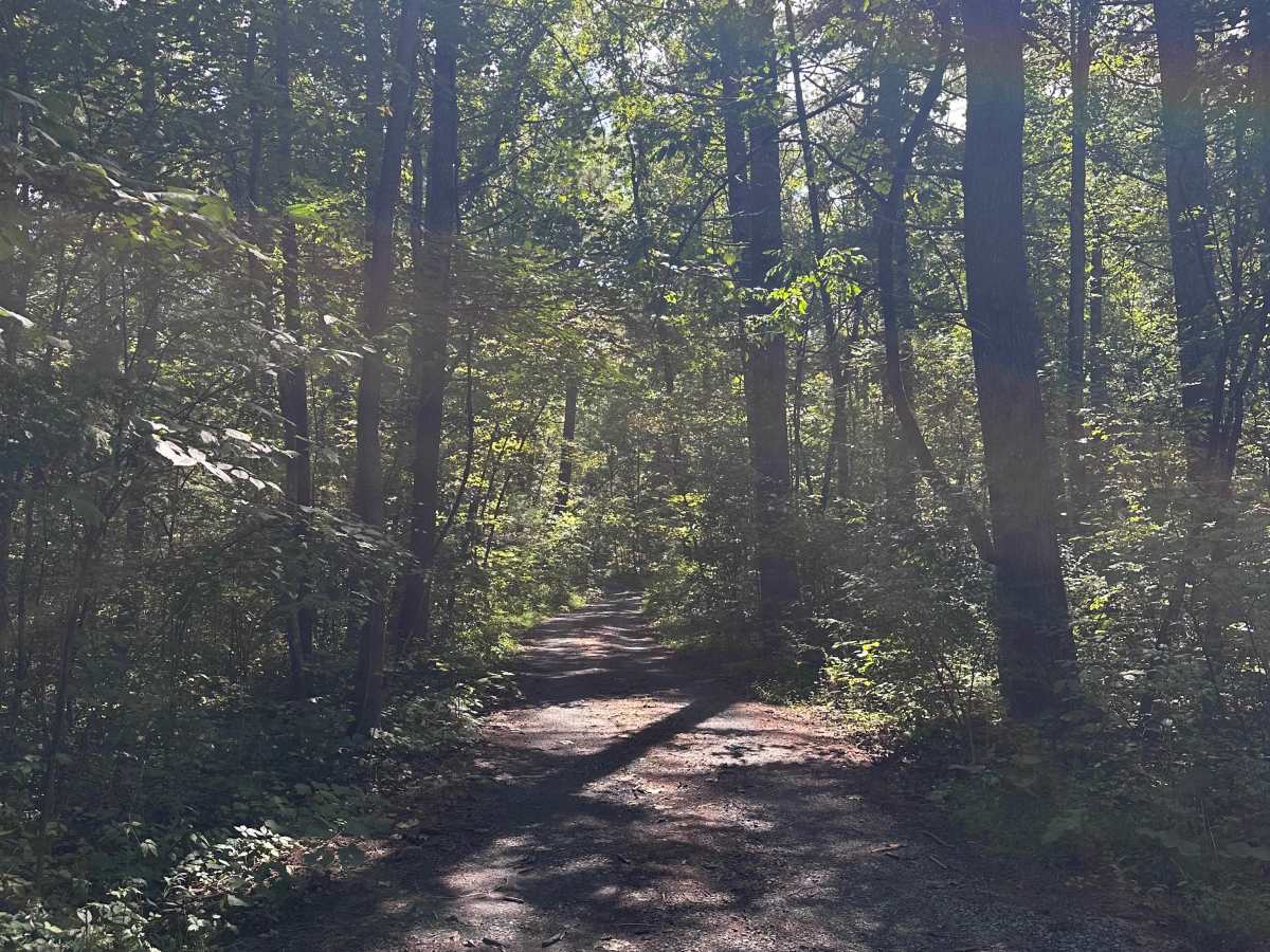 Duncan Hollow photo 5