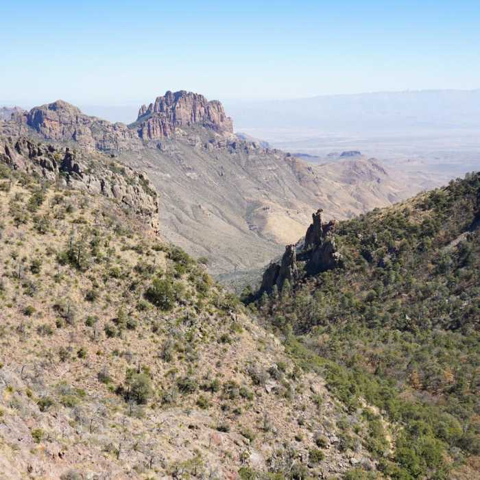Near Emory Peak via Pinnacles Trail