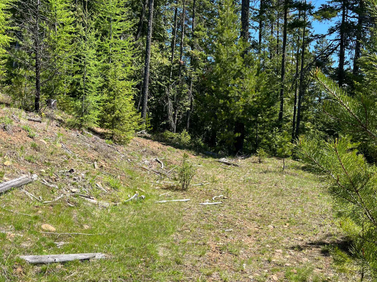 FS 3940 trail photo