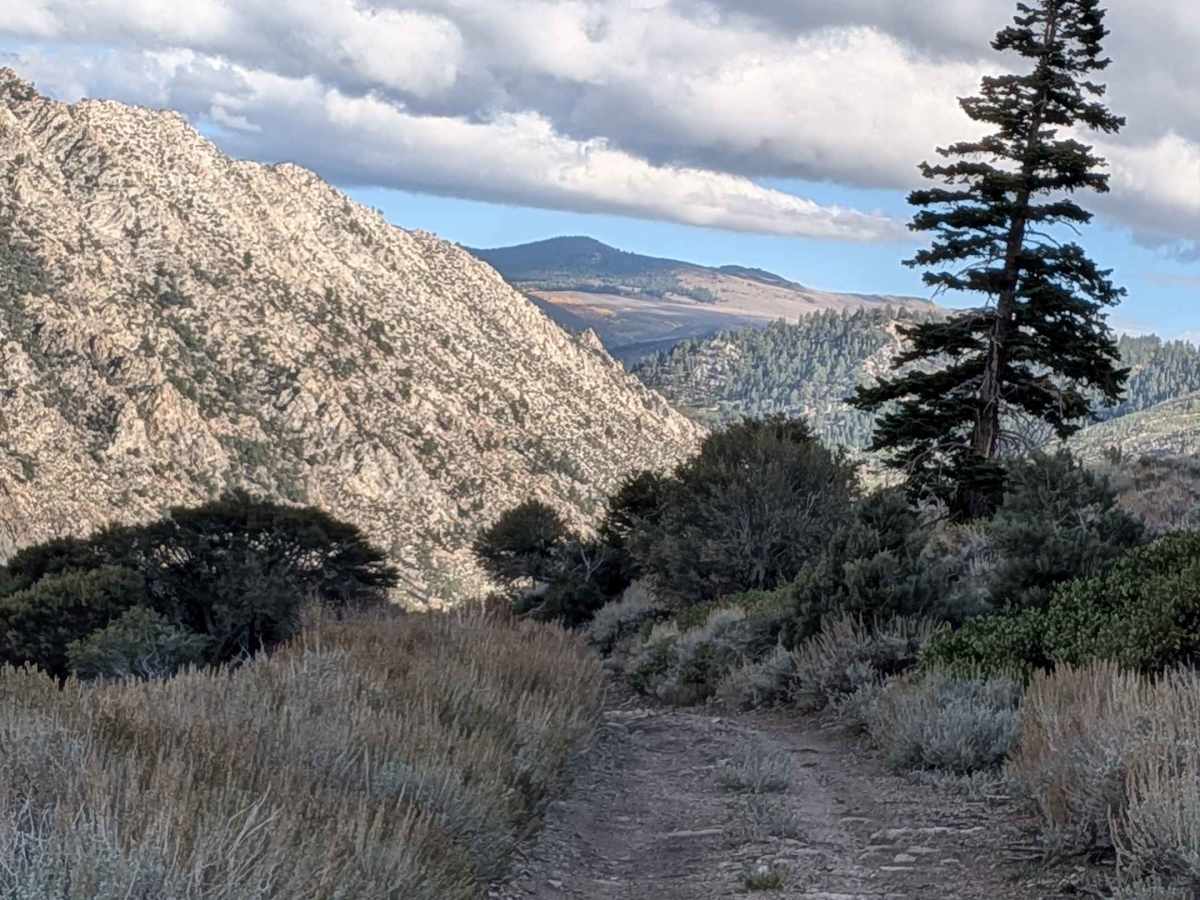 Lost Cannon Creek - FS 32212 photo 3
