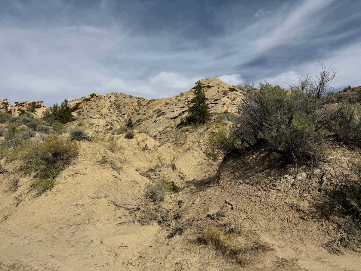 Backflip trail photo