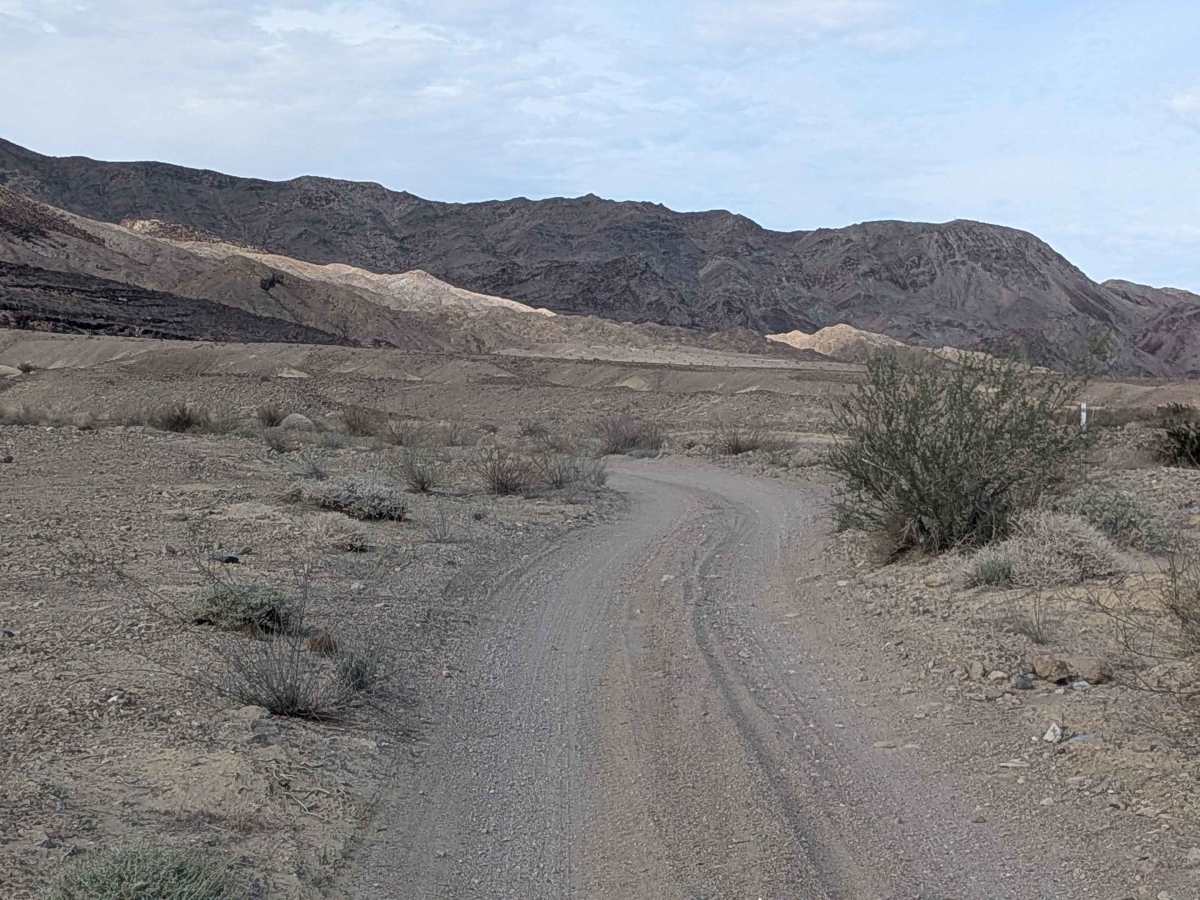BLM 115 photo 6