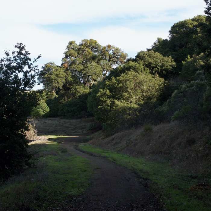 Near Clouds Rest - Meadow Trail Loop