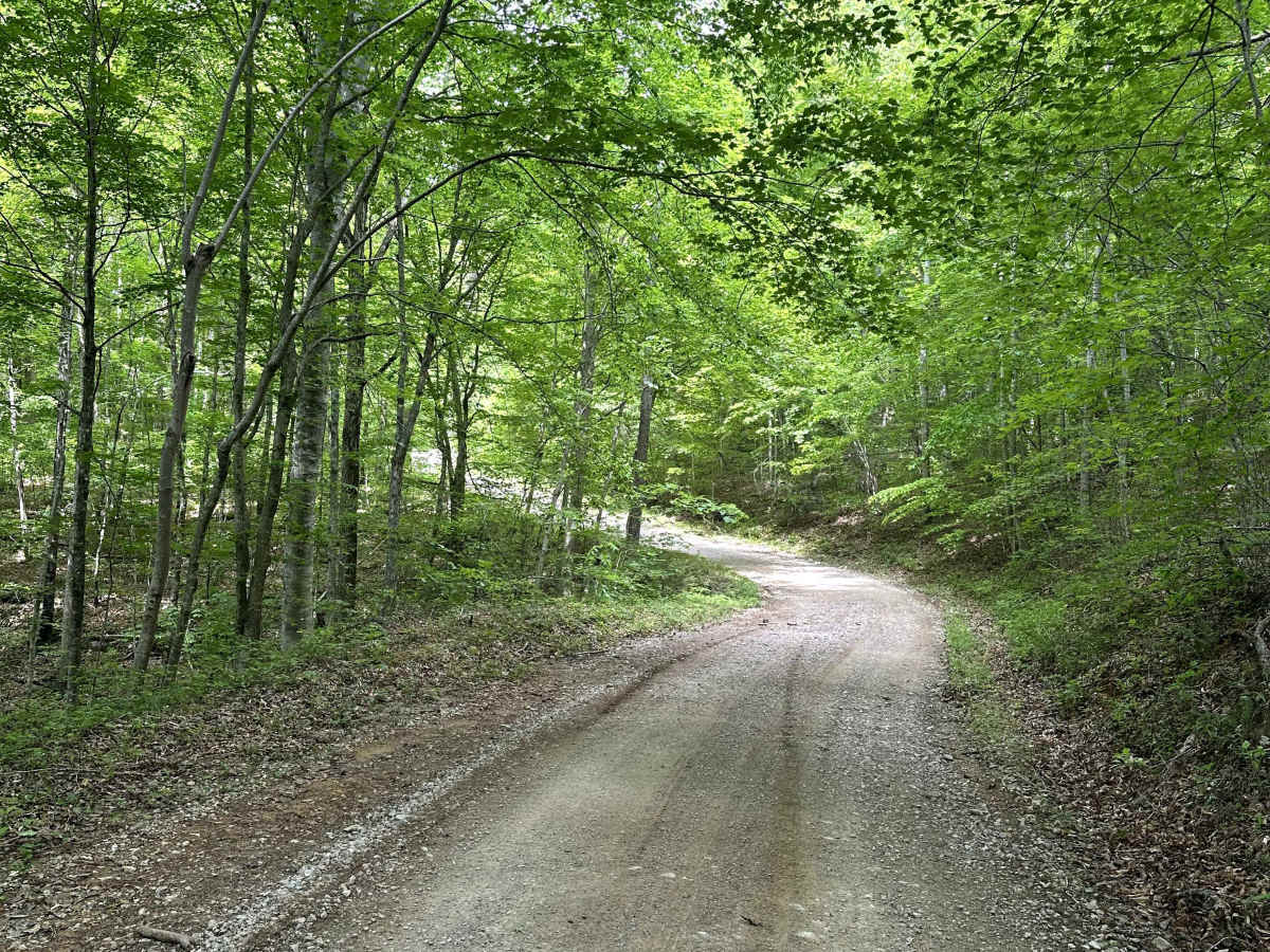 Parker Mountain Road photo 4