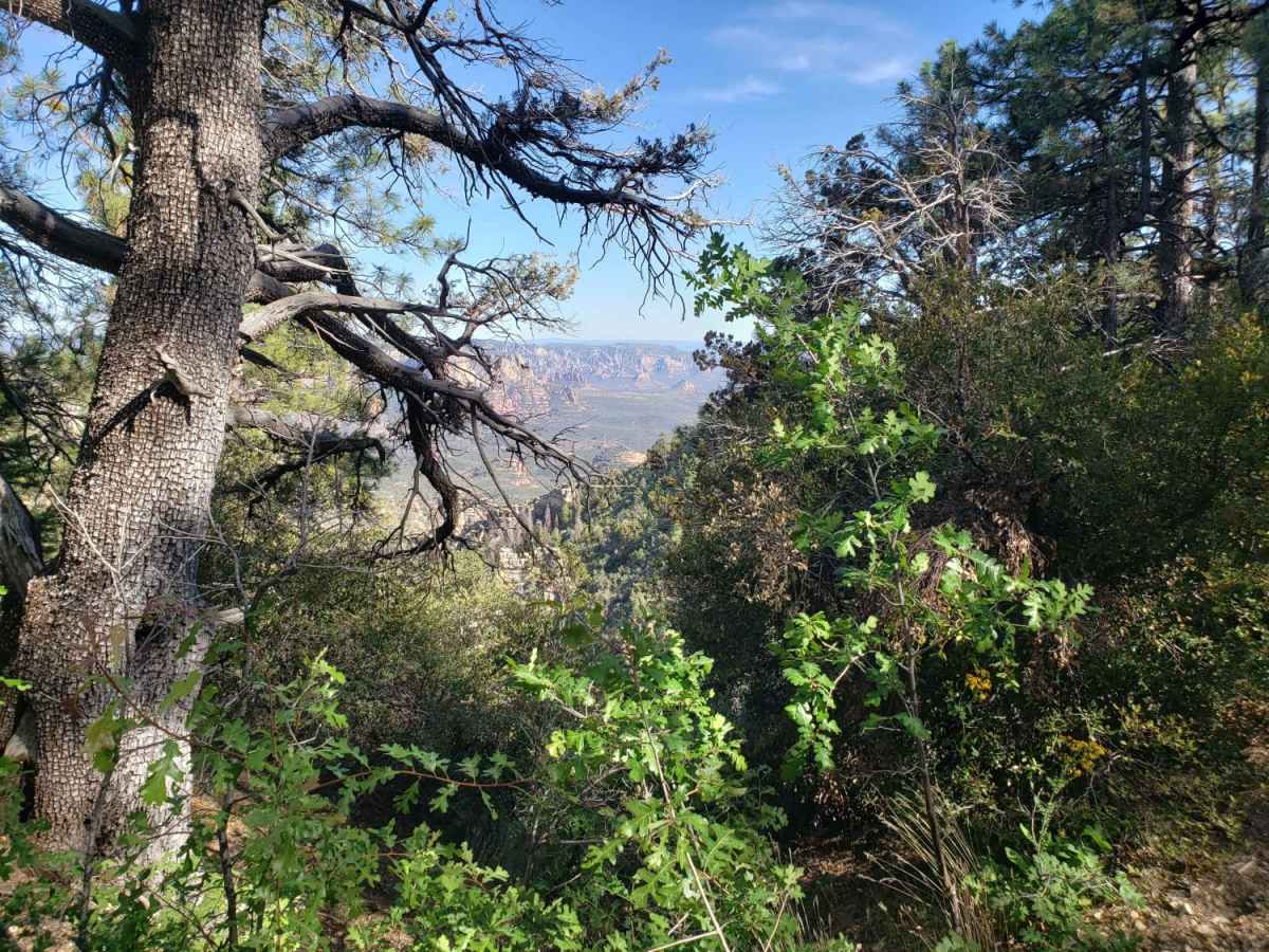 Little Round Mountain photo 4