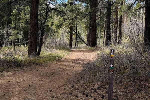 Trail 16 Loop 
