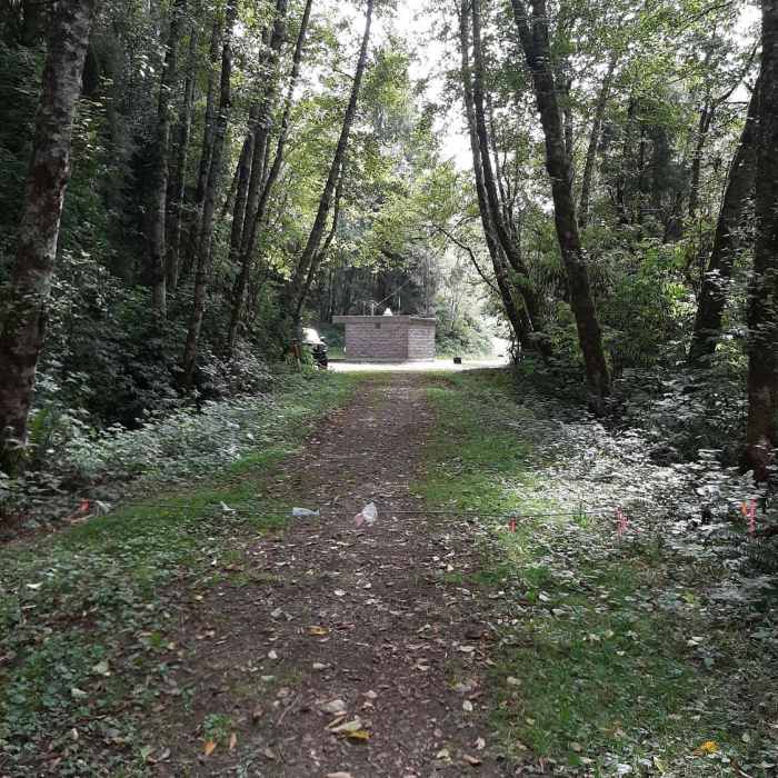 Near Alder Creek Trail