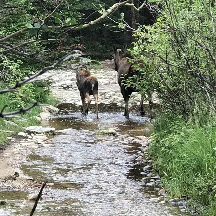 Near Middle St. Vrain Road