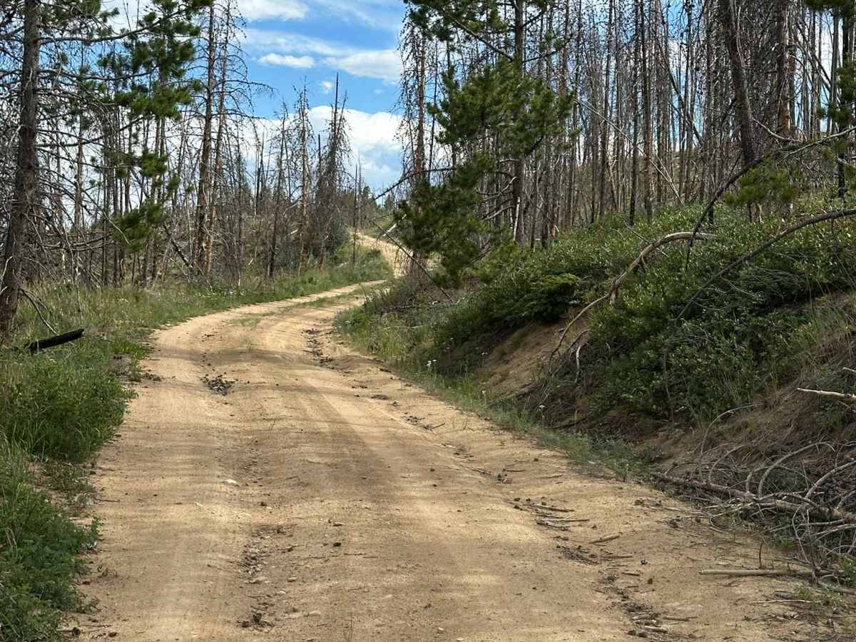 BLM Route 2764 photo 3