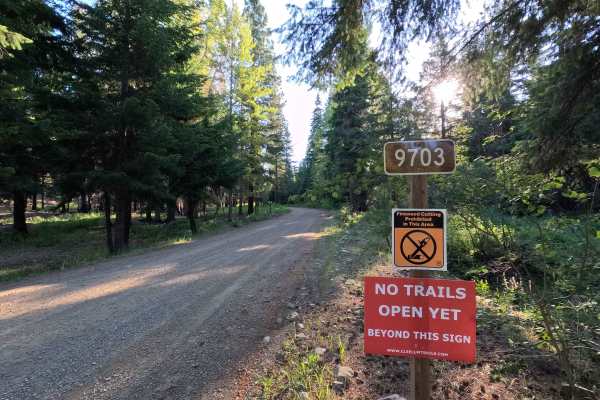 Stafford Creek Road - FS 9703